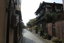 Maisons de samouraïs, palais et fleurs de cerisiers.